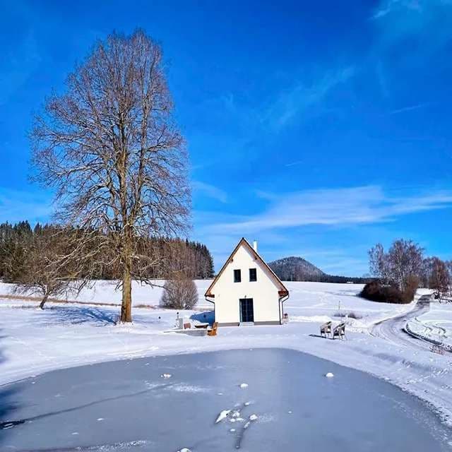 Prodej pozemku 600 m², Olešnice, Jihočeský kraj Prodej pozemku 600 m², Olešnice, Jihočeský kraj