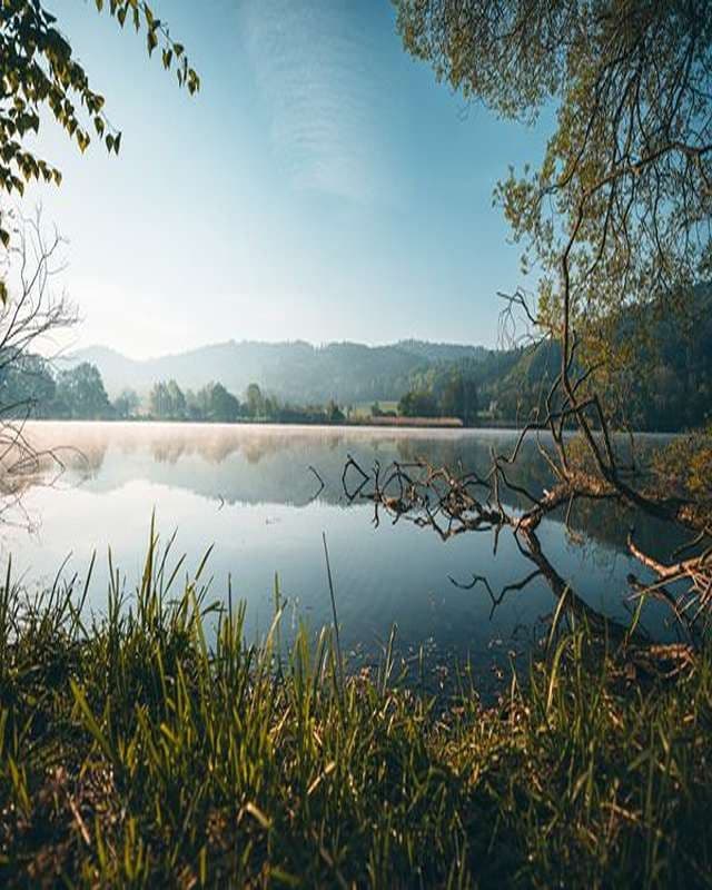 Prodej pozemku 600 m², Olešnice, Jihočeský kraj Prodej pozemku 600 m², Olešnice, Jihočeský kraj