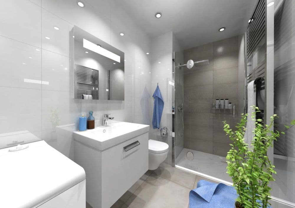 Prodej bytu 1+1 45 m², Rooseveltova, Opava, Moravskoslezský kraj Prodej bytu 1+1 45 m², Rooseveltova, Opava, Moravskoslezský kraj