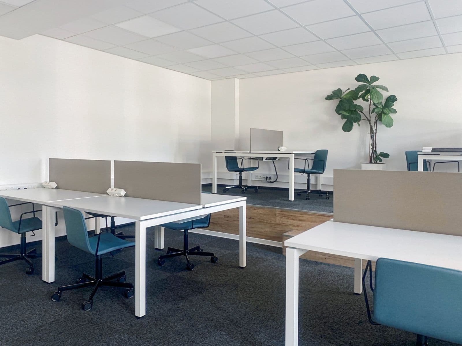 Pronájem kanceláře 30 m², 28. října, Ostrava, Moravskoslezský kraj Pronájem kanceláře 30 m², 28. října, Ostrava, Moravskoslezský kraj